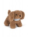 Peluche de Actividades Perrito