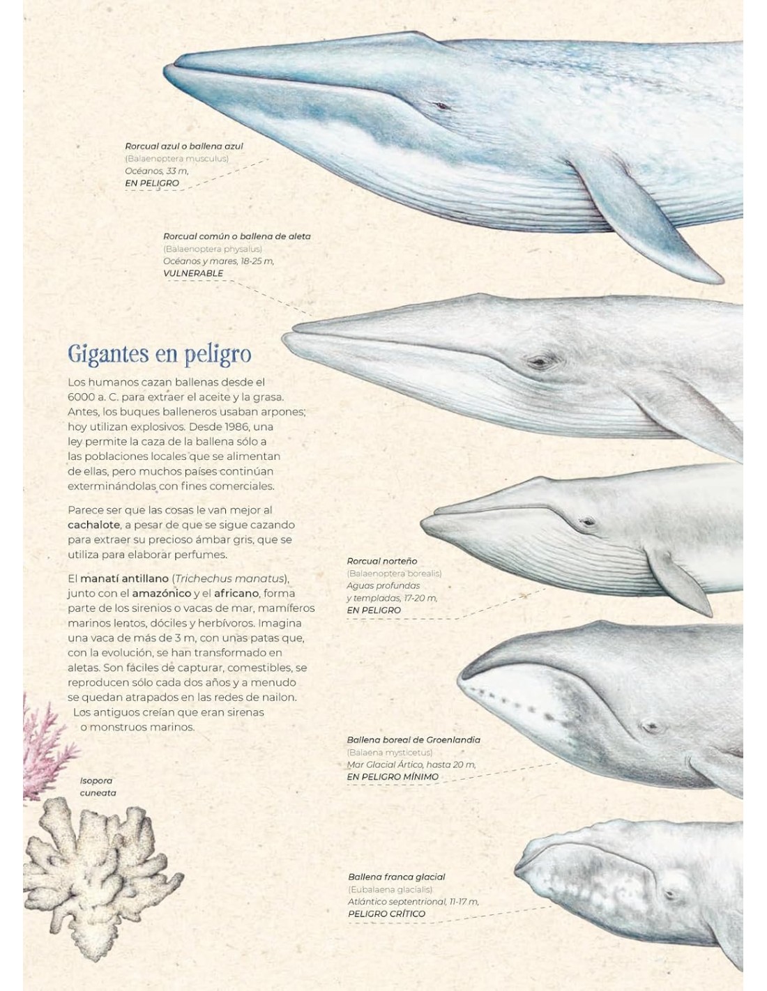 Extintopedia