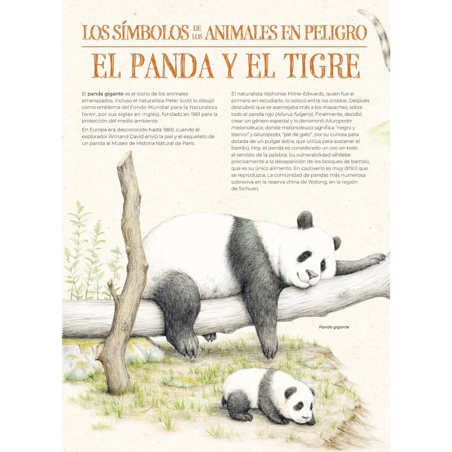 Extintopedia