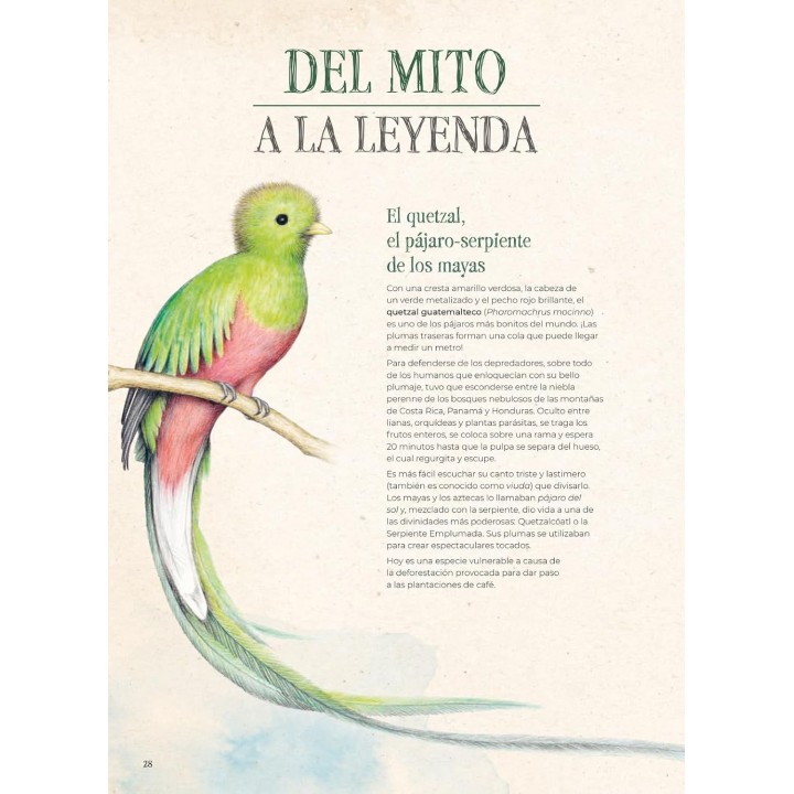 Extintopedia