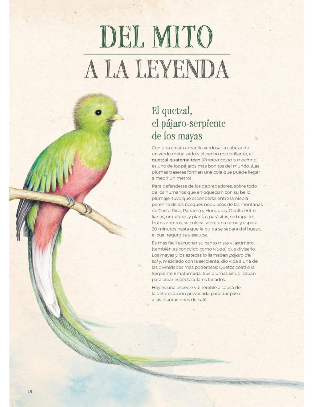 Extintopedia