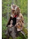Capa Grandasaurus Triceratops con Garras