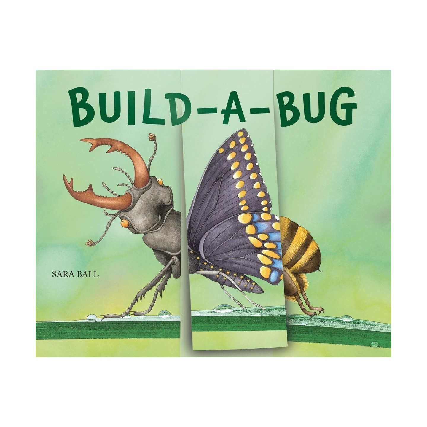 Build-a-Bug: ¡Crea tu propio insecto alocado!