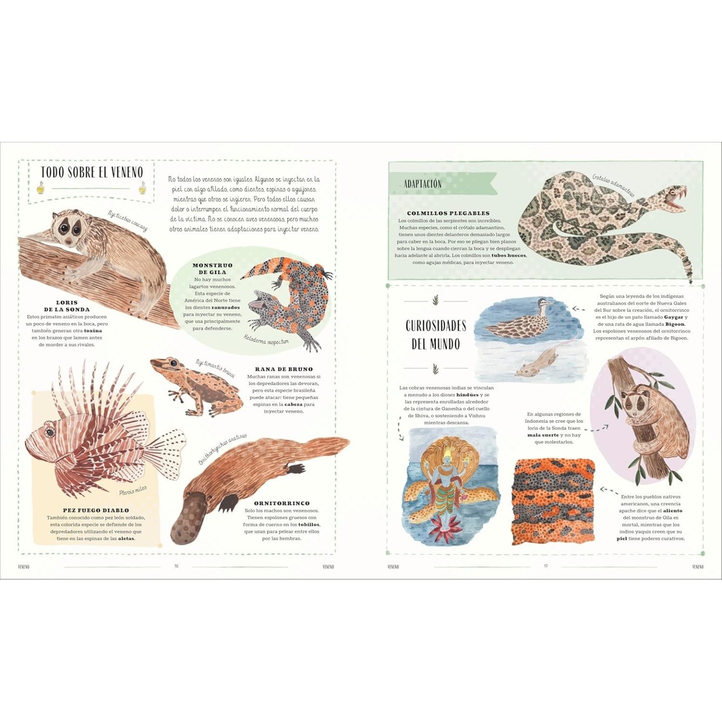 Fauna: Todos los secretos del mundo animal