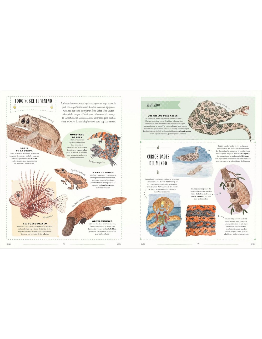 Fauna: Todos los secretos del mundo animal