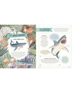 Fauna: Todos los secretos del mundo animal 2