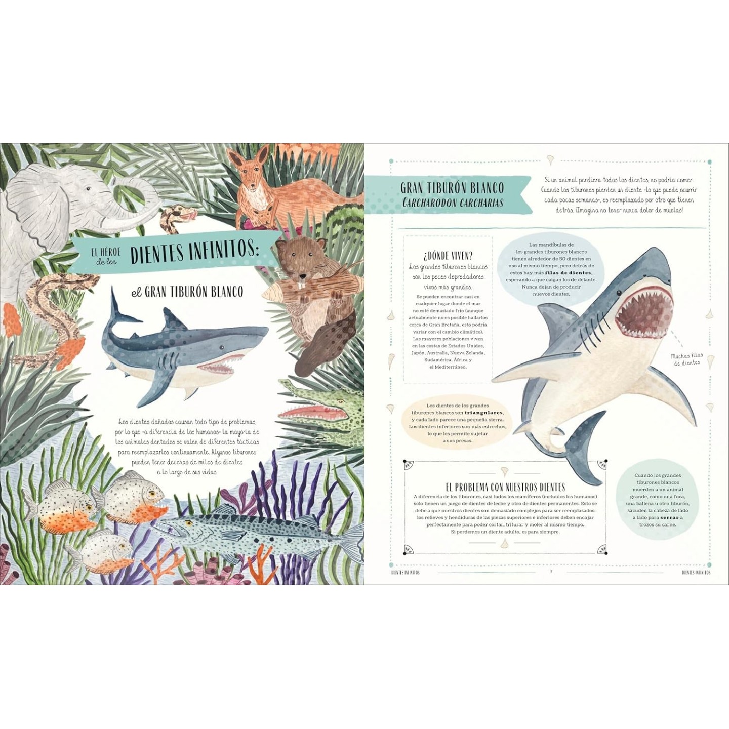 Fauna: Todos los secretos del mundo animal