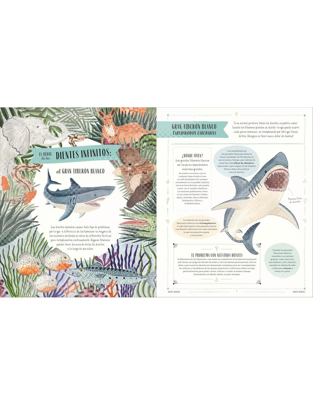 Fauna: Todos los secretos del mundo animal