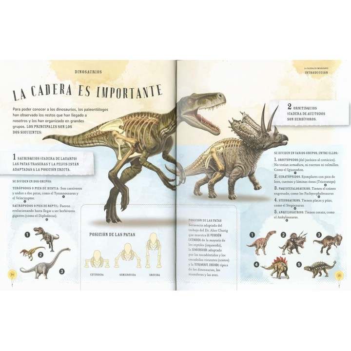 Dinosaurios, los dueños de la Tierra