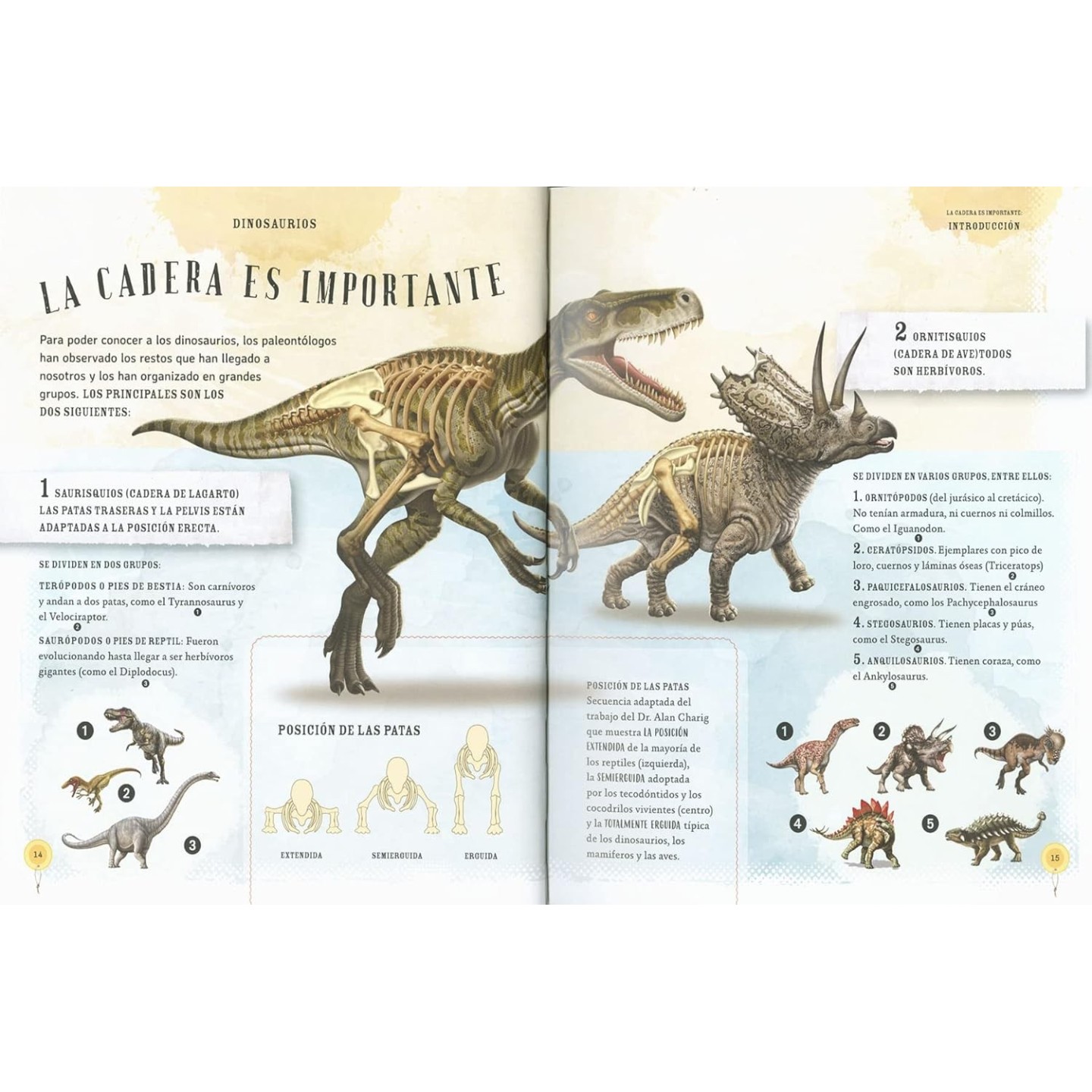 Dinosaurios, los dueños de la Tierra