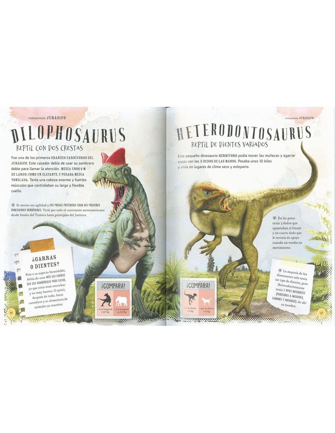 Dinosaurios, los dueños de la Tierra