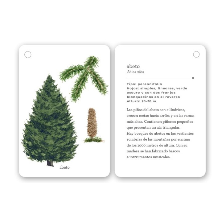 Fíjate: Árboles