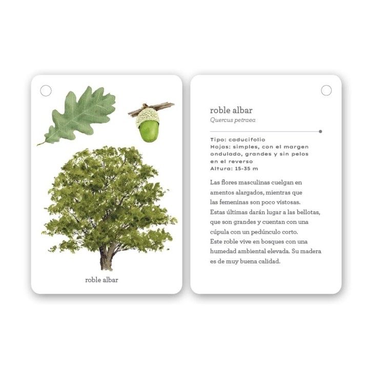 Fíjate: Árboles