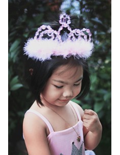 Diadema Princesa Rosa/Plata 2