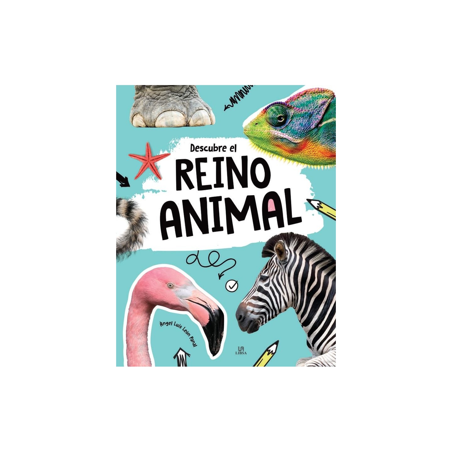 Descubre el Reino Animal