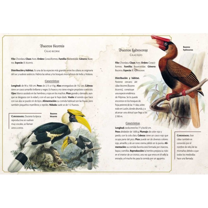 Animalario Selecto