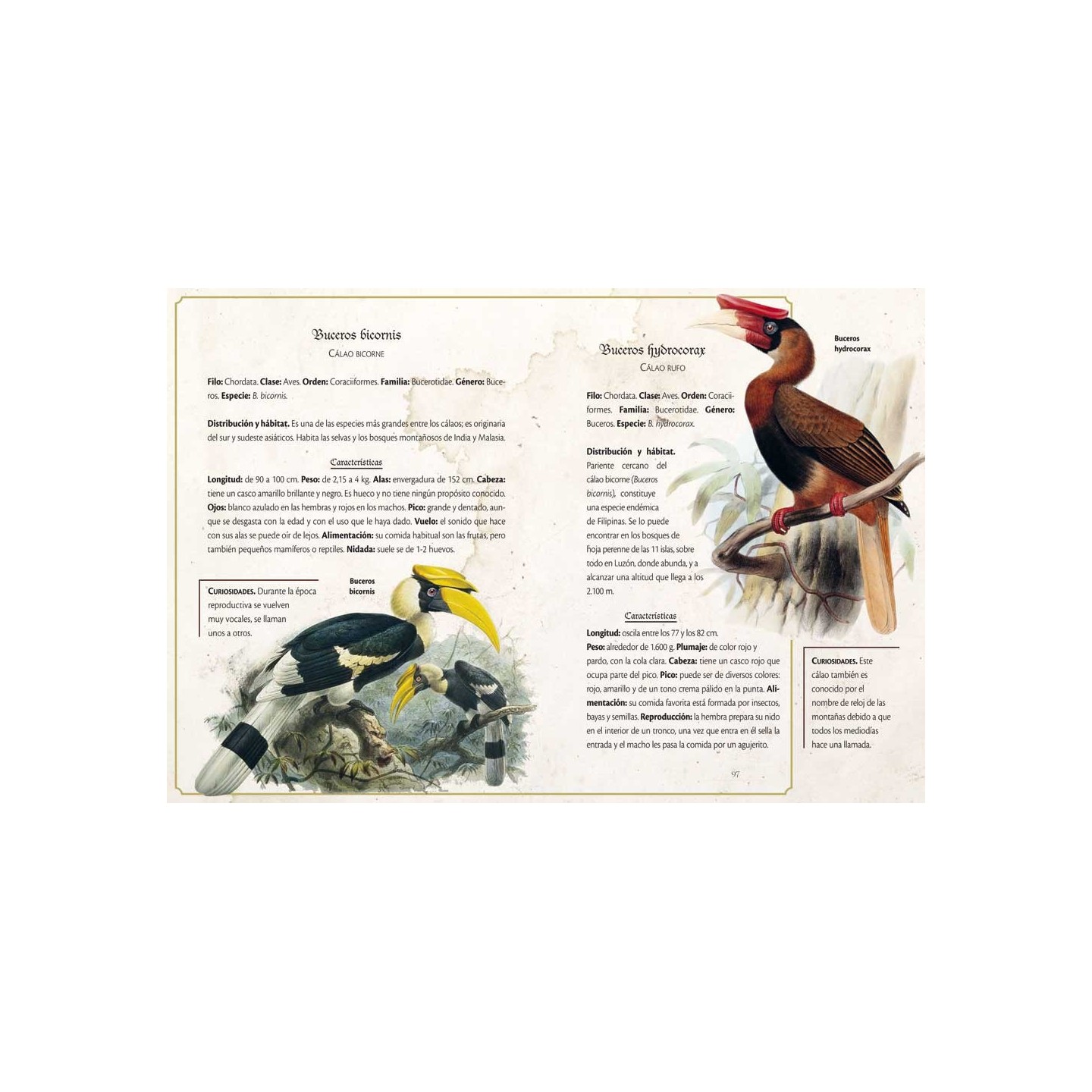 Animalario Selecto