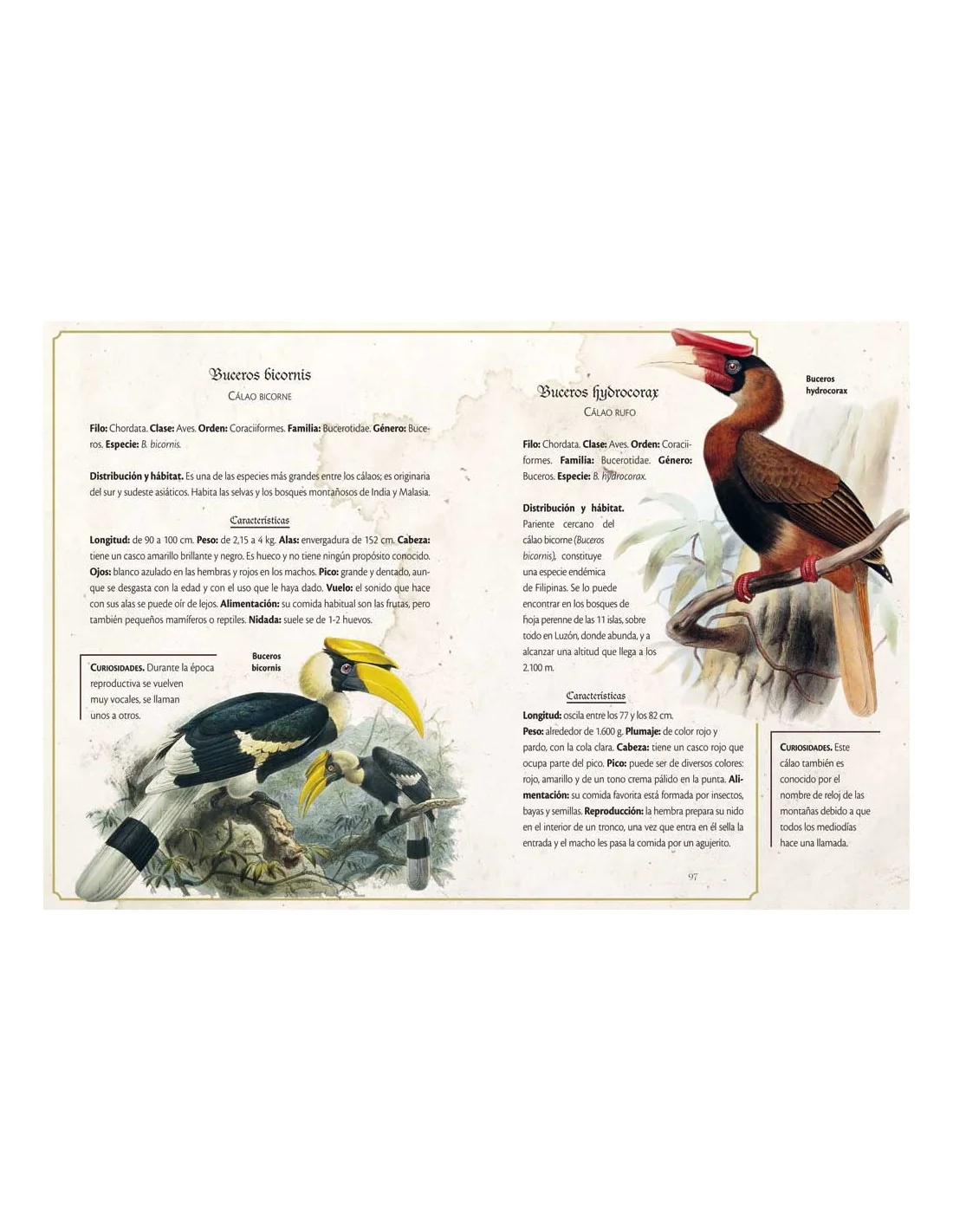 Animalario Selecto