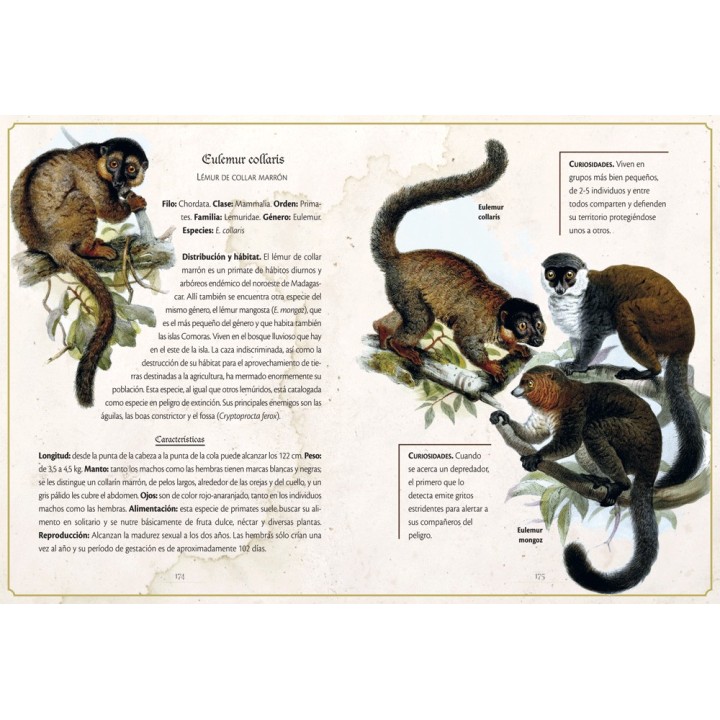 Animalario Selecto
