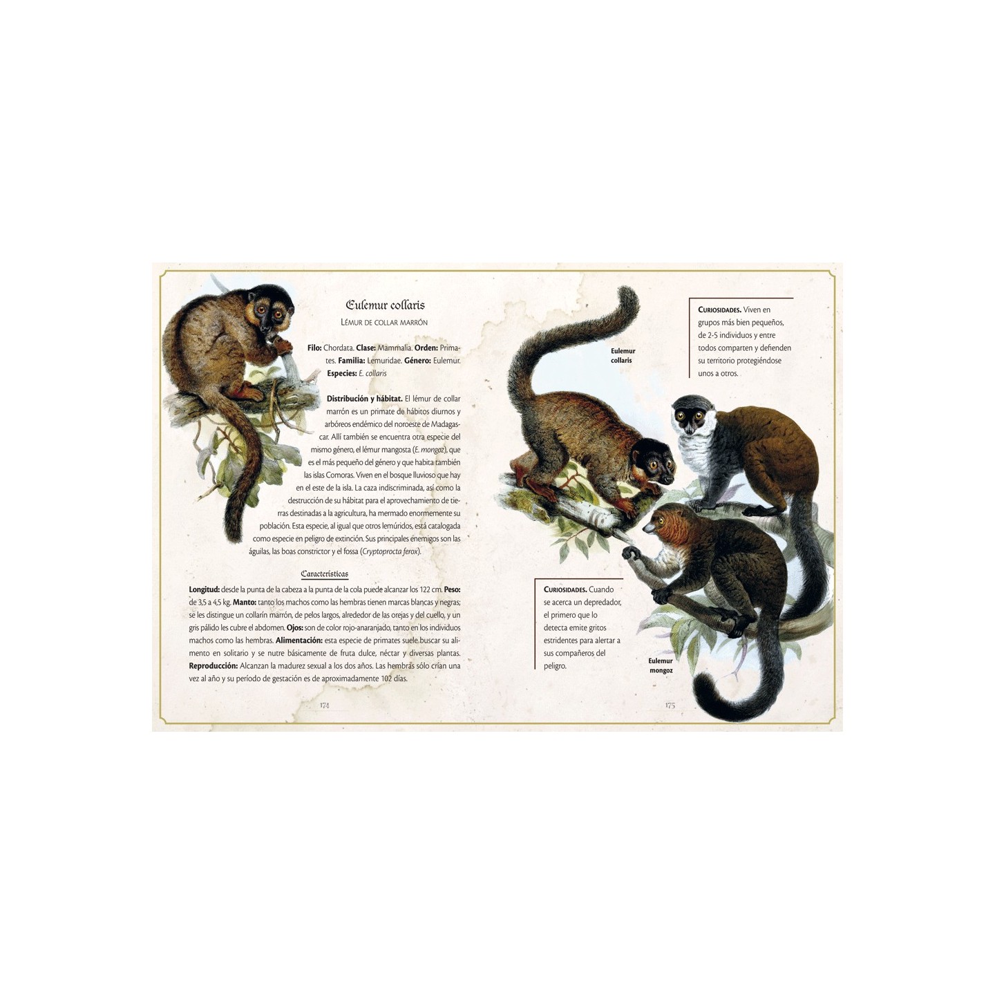 Animalario Selecto