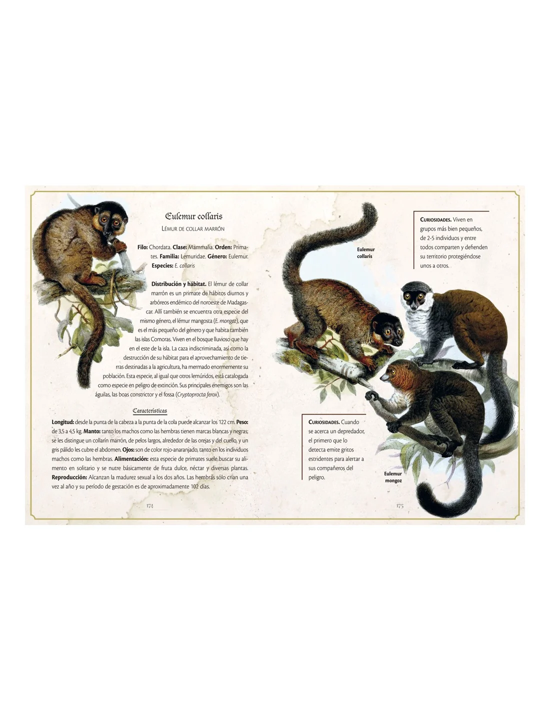 Animalario Selecto