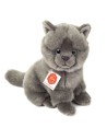 Peluche Gato Carthusian