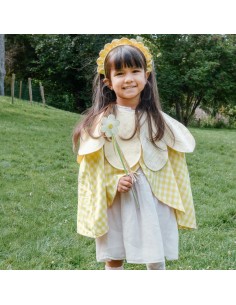 Diadema Daisy Flower 2