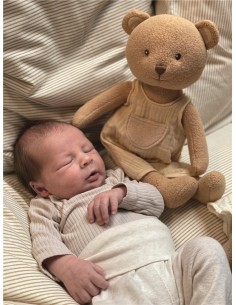 Peluche Oso Marcel Pequeño 2