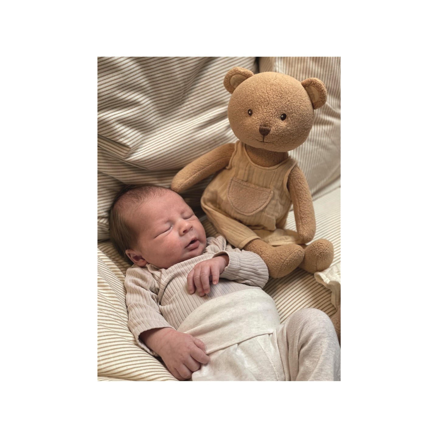 Peluche Oso Marcel Pequeño