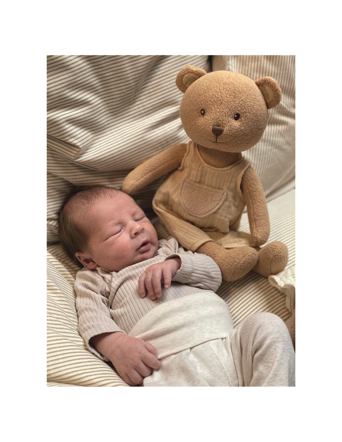 Peluche Oso Marcel Pequeño