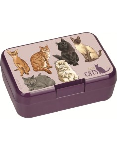 Fiambrera I love cats & dogs