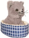 Gato Nala en Cama