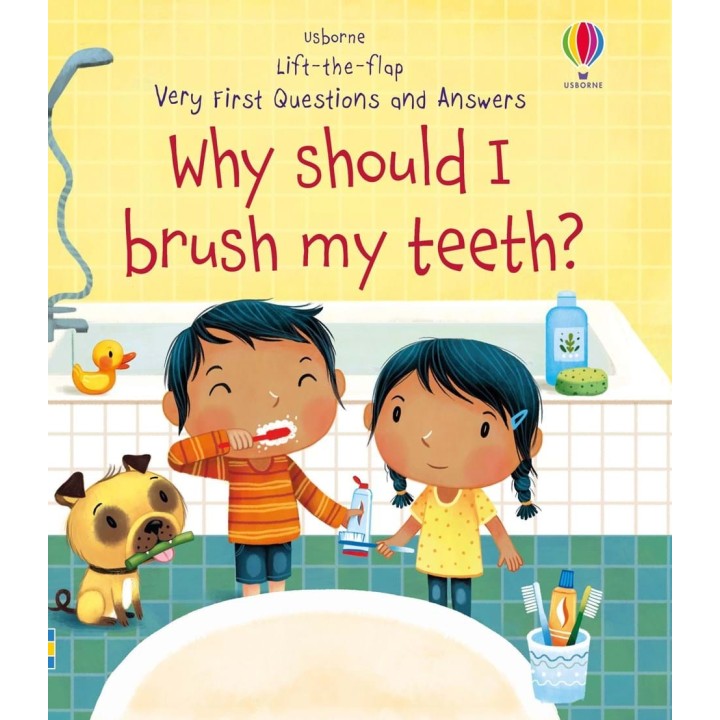 Lift-the-flap Questions and Answers why should i brush my teeth