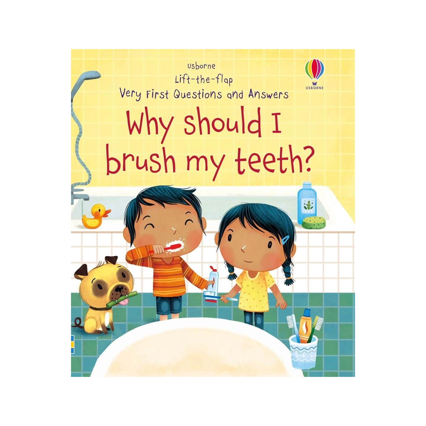 Lift-the-flap Questions and Answers why should i brush my teeth