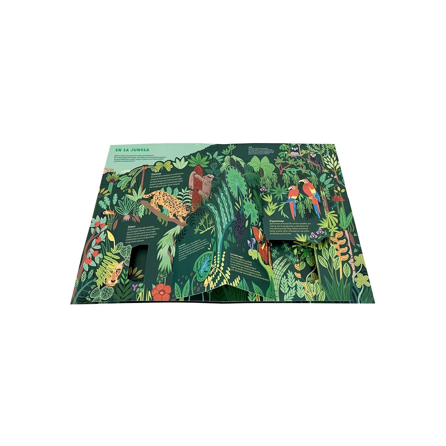 Los animales salvajes. Pop up