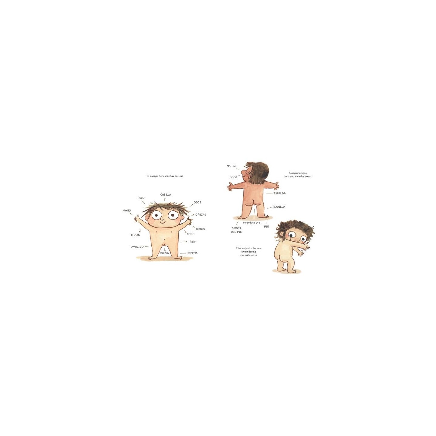 Tu cuerpo es tuyo (Cartón)
