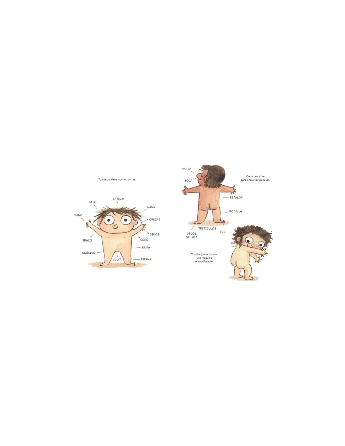 Tu cuerpo es tuyo (Cartón)
