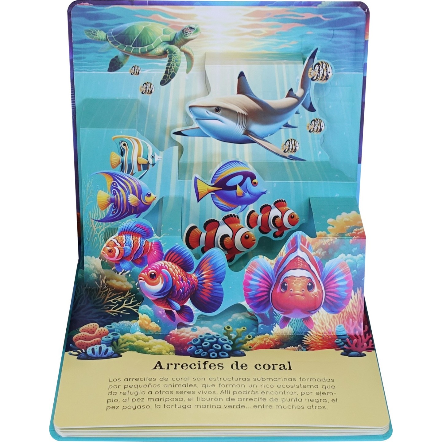 Descubre con pop-ups Los Oceanos