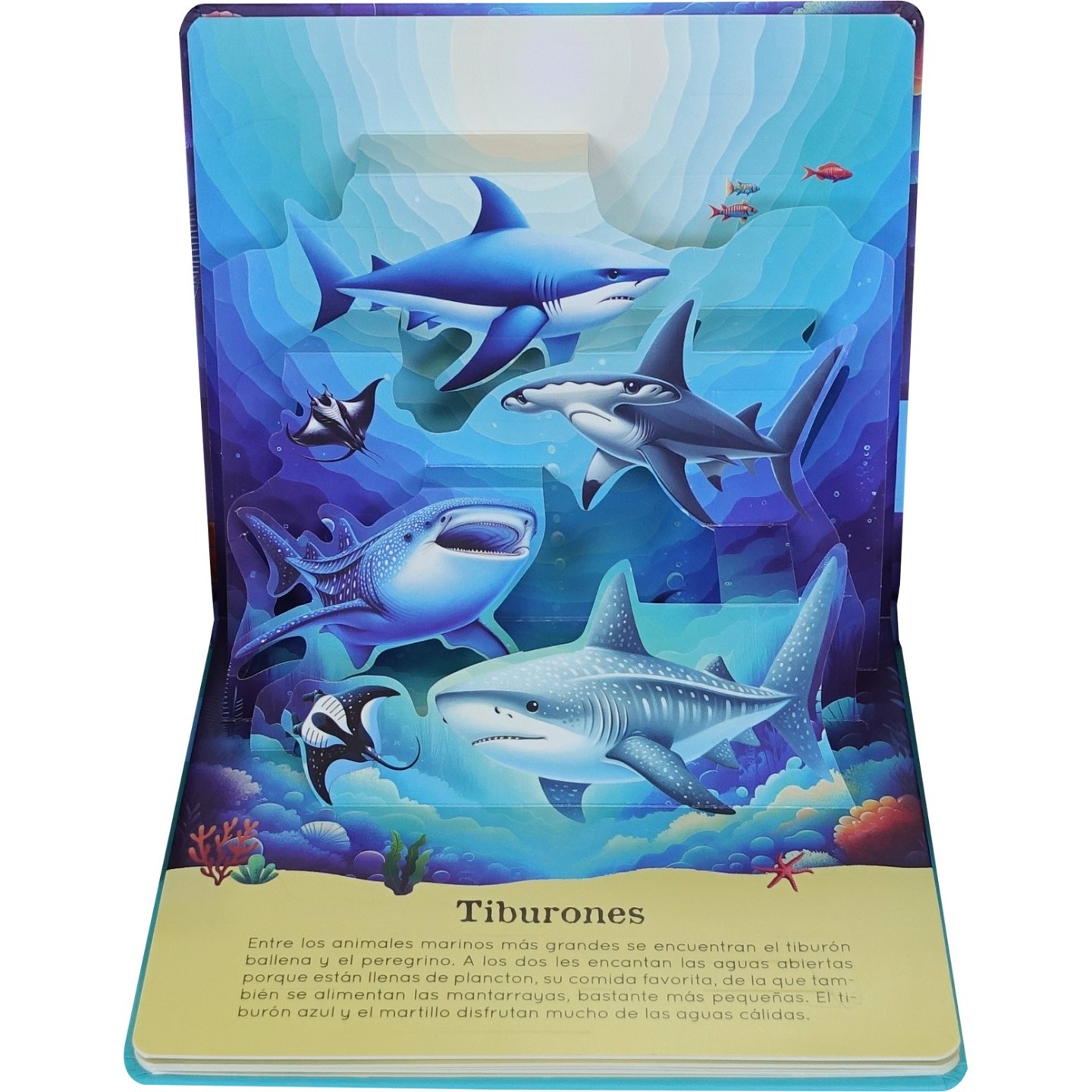Descubre con pop-ups Los Oceanos