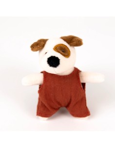 Perrito Eddie Miniatura