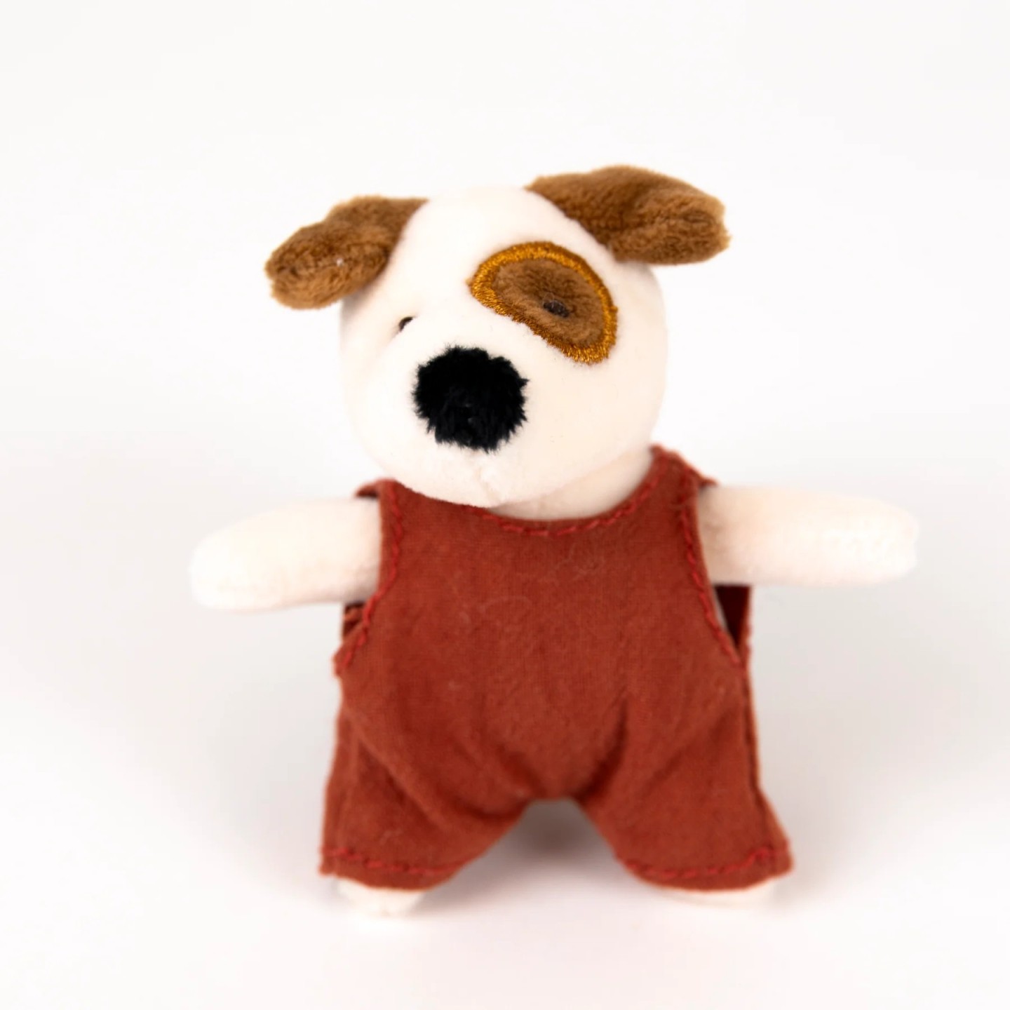 Perrito Eddie Miniatura