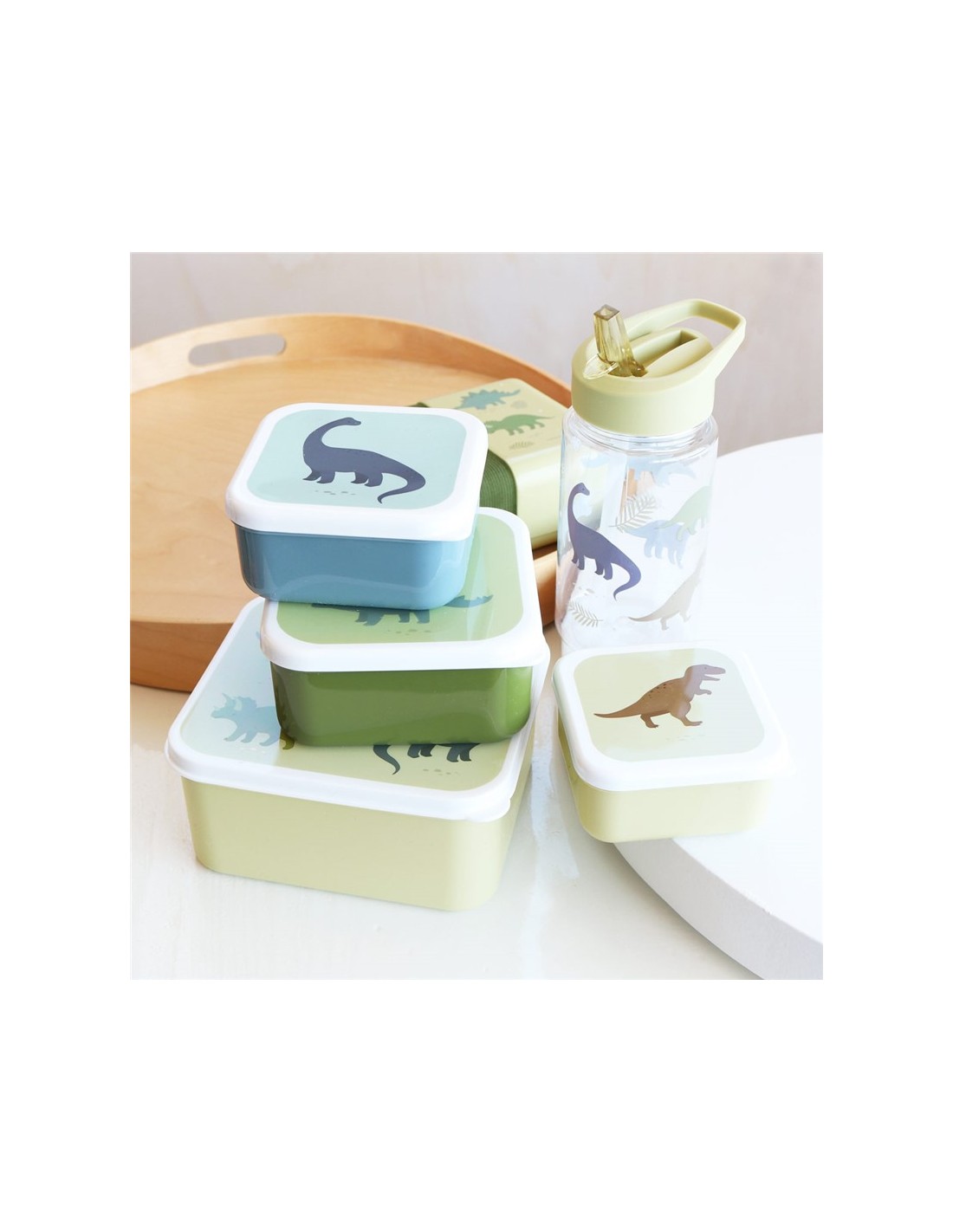 Set de 4 Cajas Dinosaurios