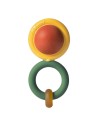 Sonajero Evolutivo