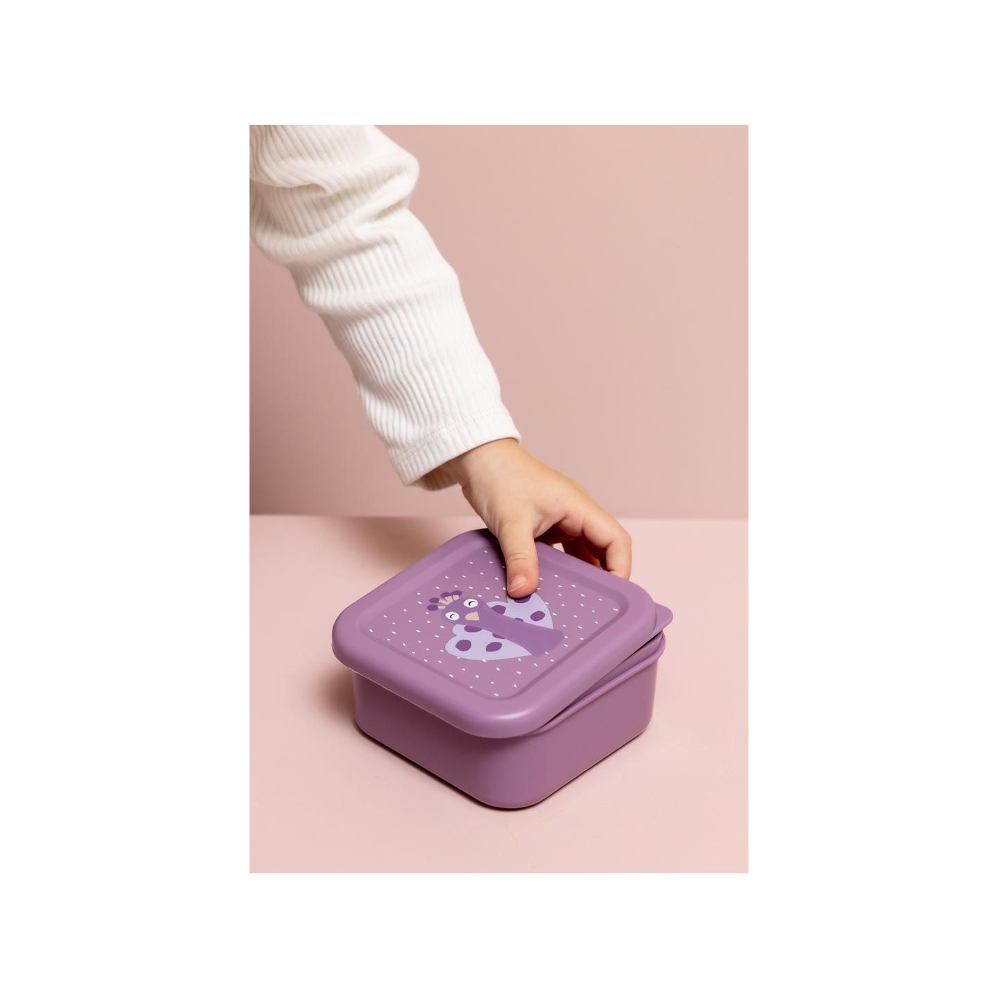 Set 3 Cajas Snack Trixie Pavo Real