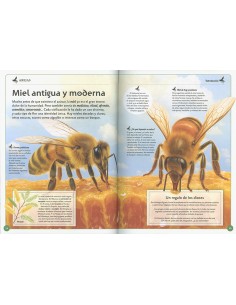 El magnífico libro de las abejas 2