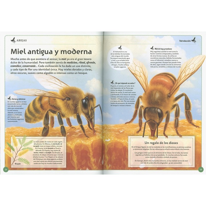 El magnífico libro de las abejas