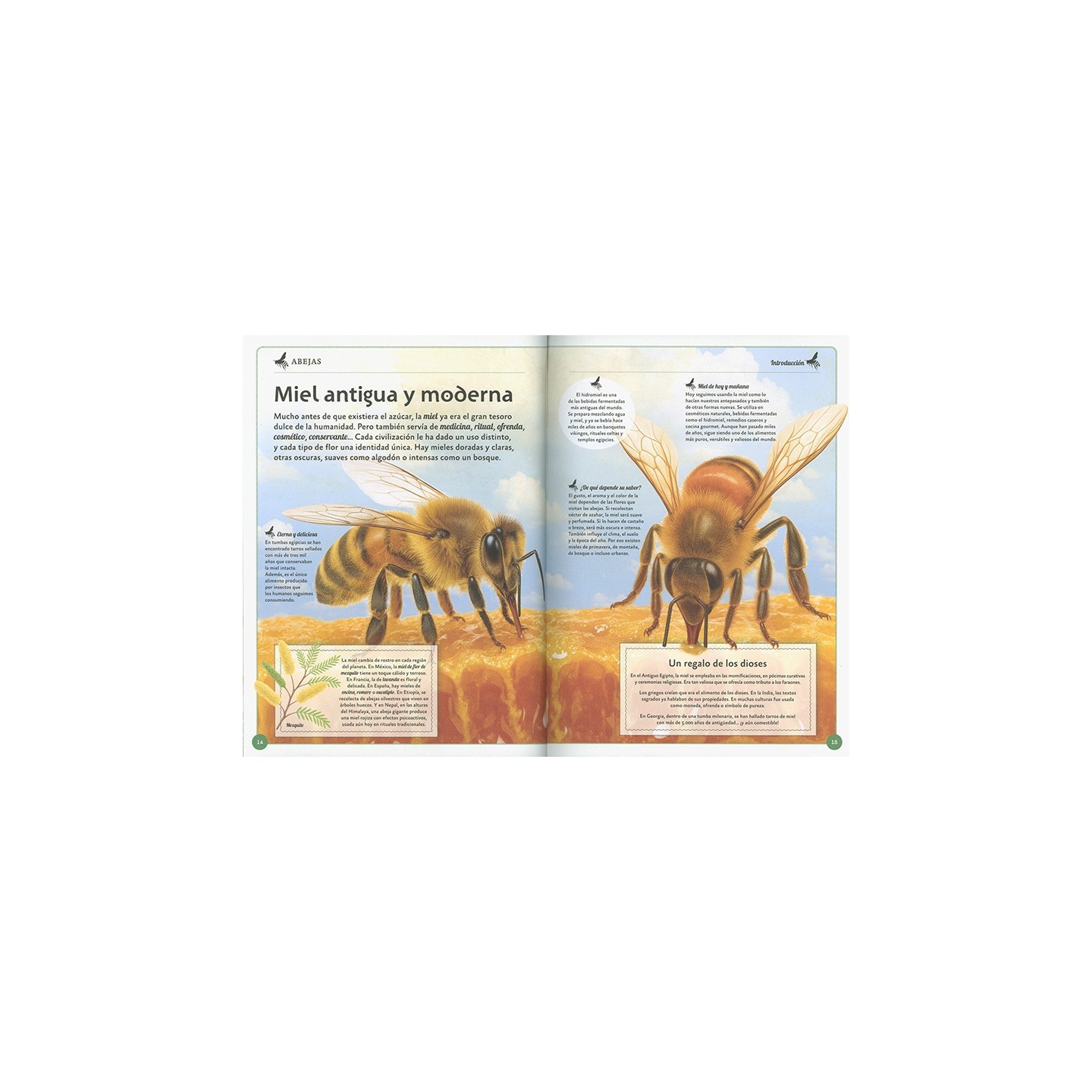 El magnífico libro de las abejas