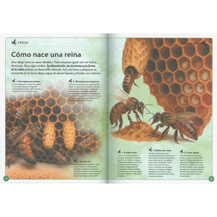 El magnífico libro de las abejas