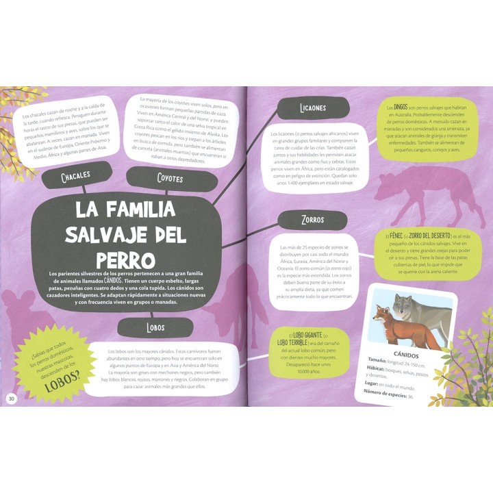 Animales superhéroes
