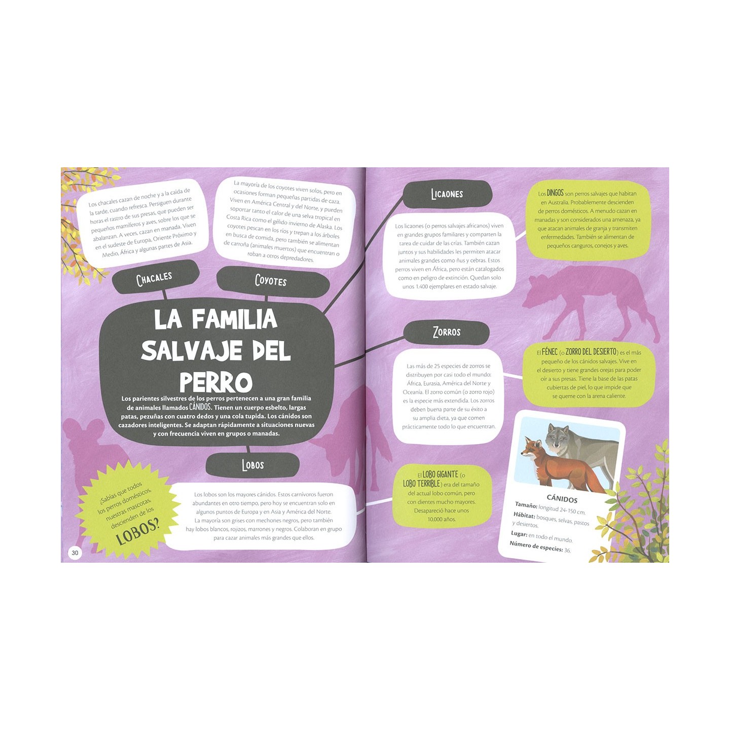 Animales superhéroes